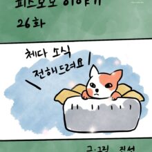 [모모툰] 26화 체다소식 전해드려요