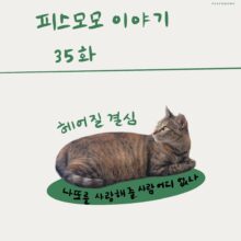 [모모툰] 35화 헤어질 결심-나또를 사랑해줄 사람 어디 없나