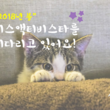 [모집] 피스액티비스타를 모십니다 (4/1까지)