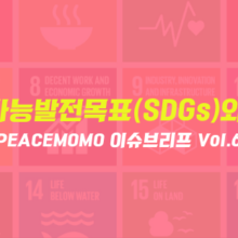 [이슈브리프] Vol.6 지속가능발전목표(SDGs)와 평화